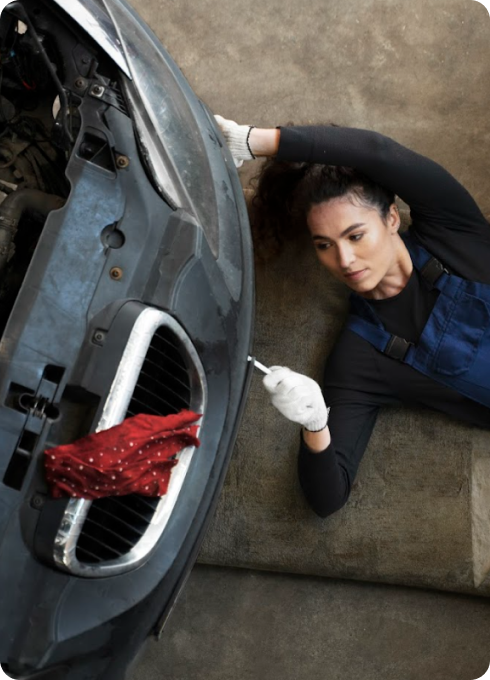 Depollution & Dismantling